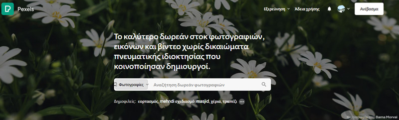 online βιβλιοθήκη δωρεάν φωτογραφιών υψηλής ανάλυσης